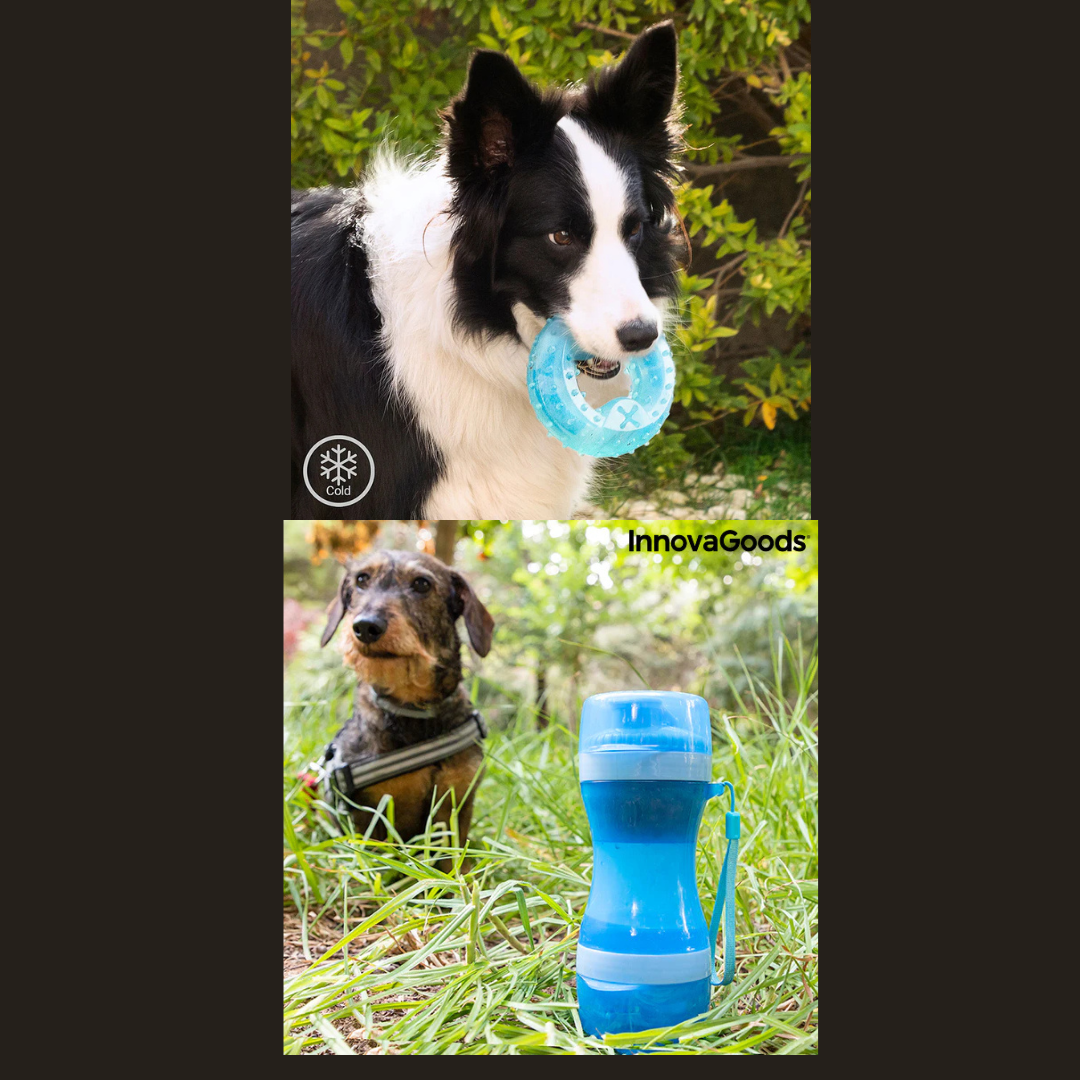 PACK Juguete Mordedor Congelable + Botella con Depósito de Agua y Comida para Mascotas 2 en 1 Innovagoods