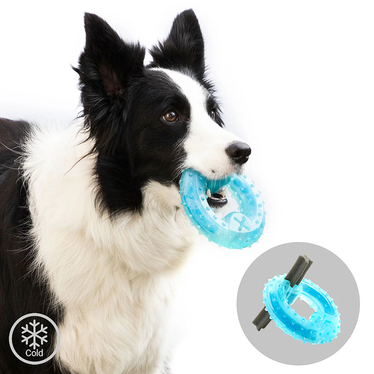 PACK Juguete Mordedor Congelable + Botella con Depósito de Agua y Comida para Mascotas 2 en 1 Innovagoods