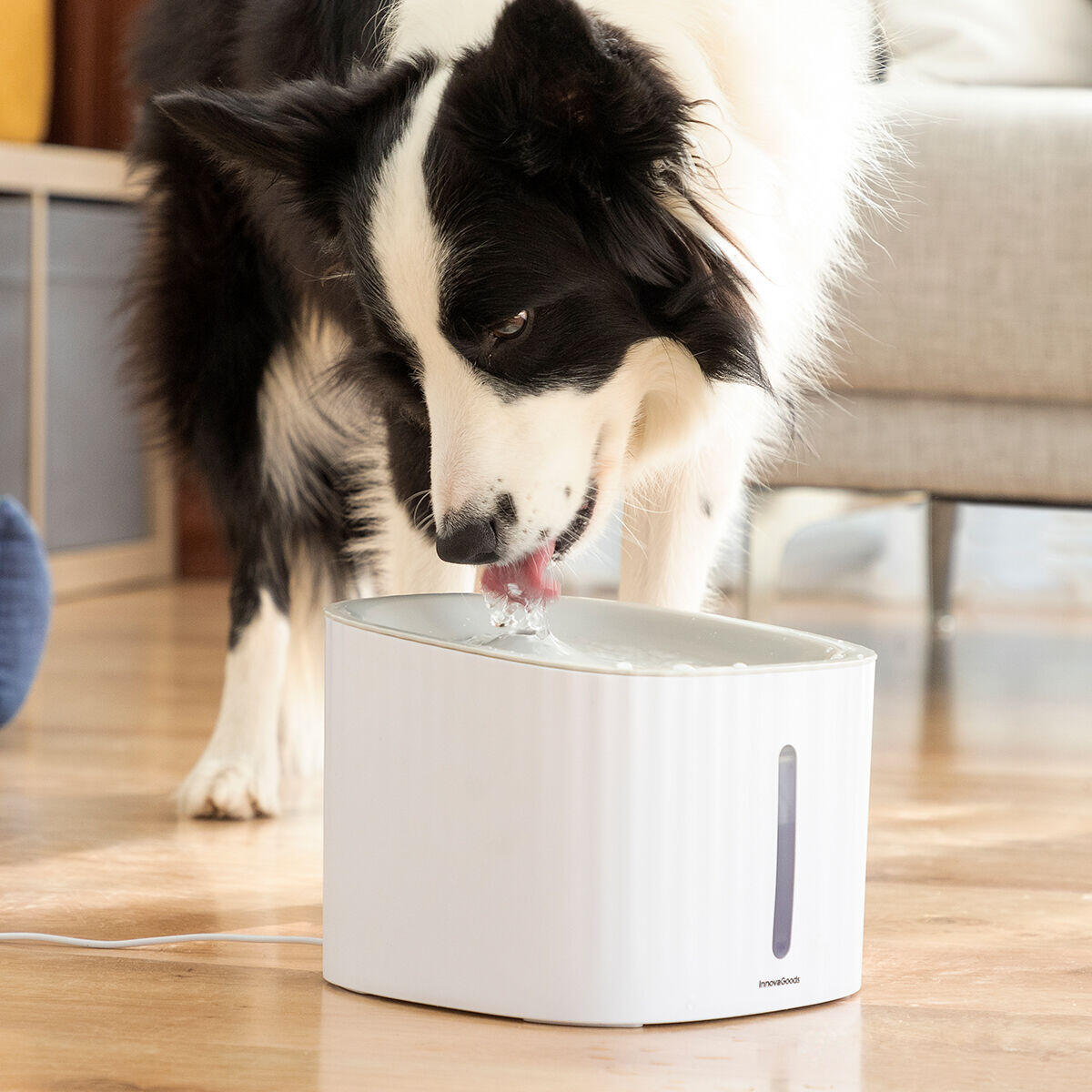 Fuente agua para Mascotas Drinkatt InnovaGoods