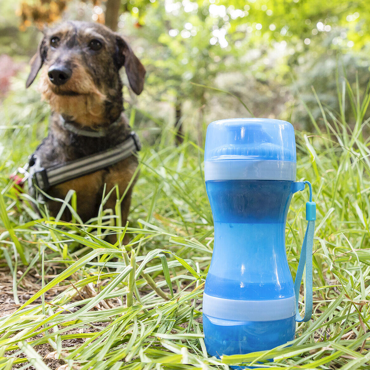 PACK Juguete Mordedor Congelable + Botella con Depósito de Agua y Comida para Mascotas 2 en 1 Innovagoods